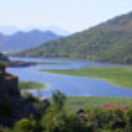 Uncle Z Steak Cornee